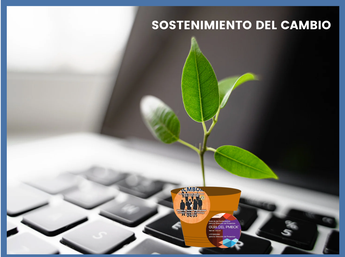 Sostenimiento del cambio hcmbok pmbok imm instituto gestion